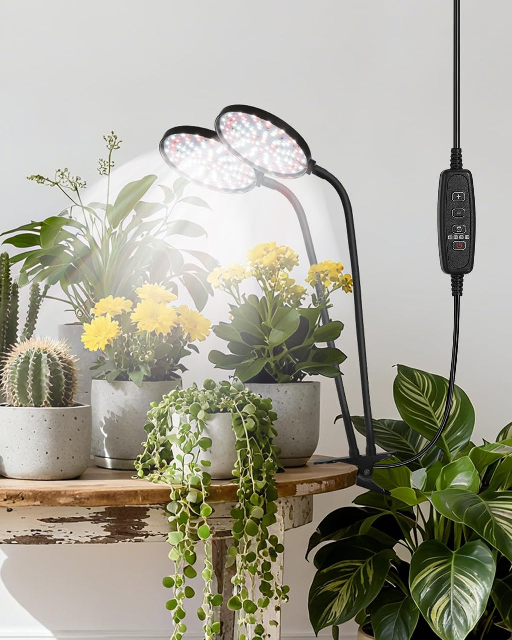 Grow Lights for Indoor Plants Full Spectrum, Clip On Plant Light with Timer 4/8/12/18H, Adjustable Gooseneck, 5 Dimming Levels, LED Grow Lamp for Houseplants