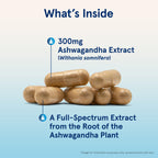 Jarrow Formulas Ashwagandha Capsules, 300 mg Supplement Supports Normalized Resistance to Mental and Physical Stress, 120 Veggie Capsules, 60 Day Supply