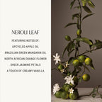 Homecourt Surface Cleaner Spray, All-Purpose, Clean Formula, 16 fl oz Neroli Leaf - 2.0