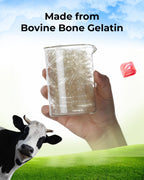 MéipaLien Empty Gelatin Capsules Size 5-1000 Count Bovine Bone Gel Capsules Empty | Quick Dissolve | All Size | for Powder & Liquid DIY Filling