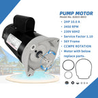 B2855 2HP Pool Pump Motor Replaces Century/AO Smith Regal Beloit B855 Swimming Pool Pump Motors, 230V, 10A, 3450RPM 1.5KW 56Y Frame 1.1 SF Include Replace Parts, Single Phase Square Flange Leungoo