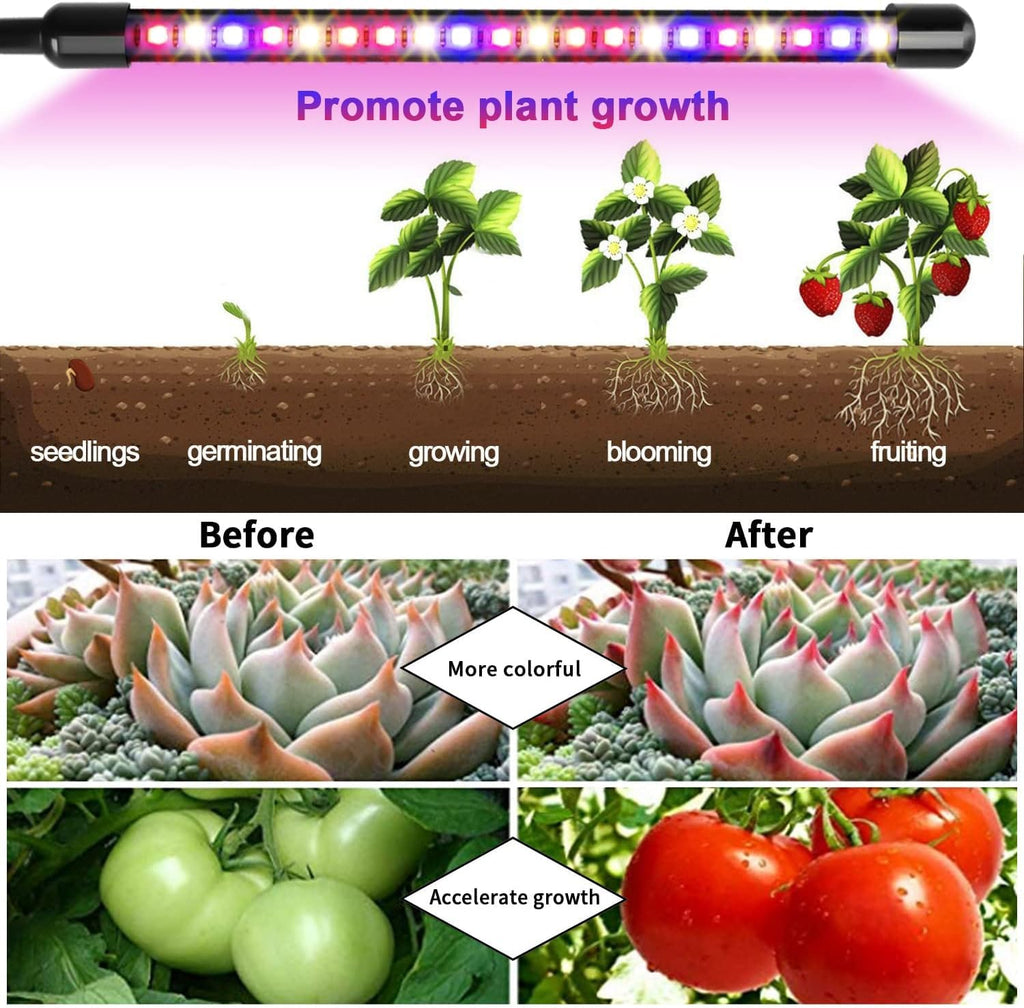 Garpsen Plant Light, 2 Heads Grow Lights for Seed Starting with Clip, 2Pack