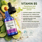 HoneyCombs Vitamin B5 Extract Alcohol Free (Liquid), 1 oz