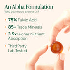 ROOT LABS 10-in-1 Alpha Shilajit Gummies | 4000 mg Pure Himalayan Shilajit with Tongkat Ali & Maca Root | for Men & Women | ShilAbsorb Bioavailability Tech | Sugar-Free, Vegan | 60 Gummies