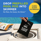 FROG Algae Gone - Dry Formula Algaecide Removes Green and Yellow Algae for In-Ground & Above-Ground Pools up to 20,000 Gallons - Chemical Pool Maintenance & Treatment - 2 Pods