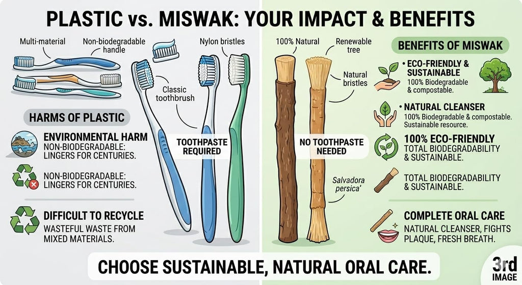 Miswak Sticks for Teeth (2-Pack) – Natural Fresh Siwak Sticks with Bamboo Holder, Travel-Friendly Organic Toothbrush Alternative for Teeth & Gums
