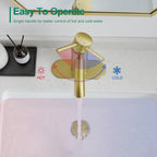 Brushed Gold Bathroom Faucets, Modern Single Hole Lavatory Vanity Faucet, Single Handle Bathroom Sink,Faucet, Faucet for Bathroom Sink with Deck Plate and Supply Hoses