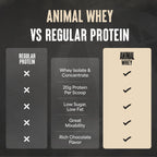 Animal 100% Whey Protein Powder – Whey Blend for Pre Workout or Post Workout, Recovery, or an Anytime Low Sugar Protein Boost Meal Replacement with BCAA Branched Chain Amino Acids – Chocolate, 4 lb