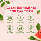 Clean Prebiotic Fiber Gummies for Men, Watermelon Flavor, Sugar-Free Pre+Probiotic Fiber Gummies, Supports Complete Clean, Digestive & Gut Health, Gluten Free, Gelatin Free, 60 Count
