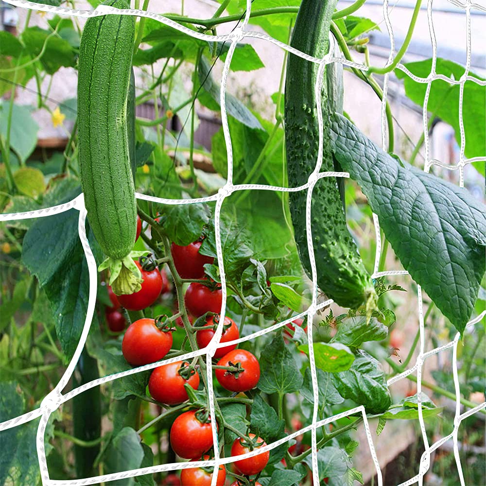 𝐓𝐫𝐞𝐥𝐥𝐢𝐬 𝐍𝐞𝐭𝐭𝐢𝐧𝐠, CANAGROW Heavy-Duty Garden Plant Trellis Netting for Climbing Plants, Outdoor Indoor Grow Net for Beans Tomatoes Peas Pumpkin Flowers, 𝟔 𝐱 𝟑𝟎𝐟𝐭, Pack of 2