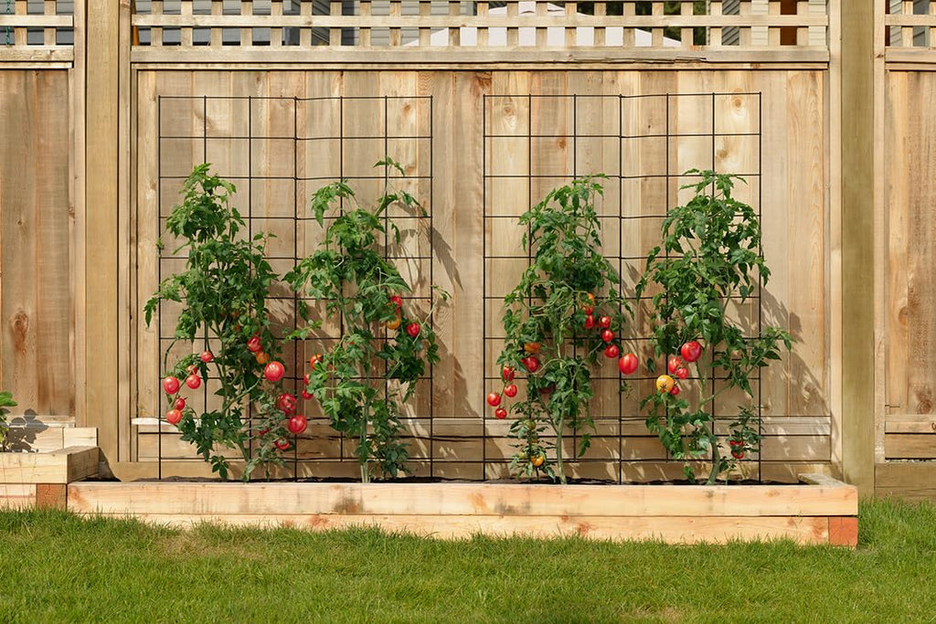 2-Panel Folding Garden Trellis - Maximize Your Garden Space, Durable Powder Coated Steel Frame, Easy-to-Use Design, Perfect for Climbing Vines, Vegetables, Beans, Tomato, Cucumber, 35x58"