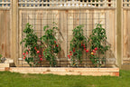 2-Panel Folding Garden Trellis - Maximize Your Garden Space, Durable Powder Coated Steel Frame, Easy-to-Use Design, Perfect for Climbing Vines, Vegetables, Beans, Tomato, Cucumber, 35x58"