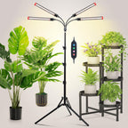 JINHONGTO Grow Light with Stand and Timer 4,8,12,16,20 Hr, 36 Watt Standing Tall Plant Light for Bonsai Tree, Seed Starting, 24"-64" Adjustable Tripod Stand Plant Growing Lamps