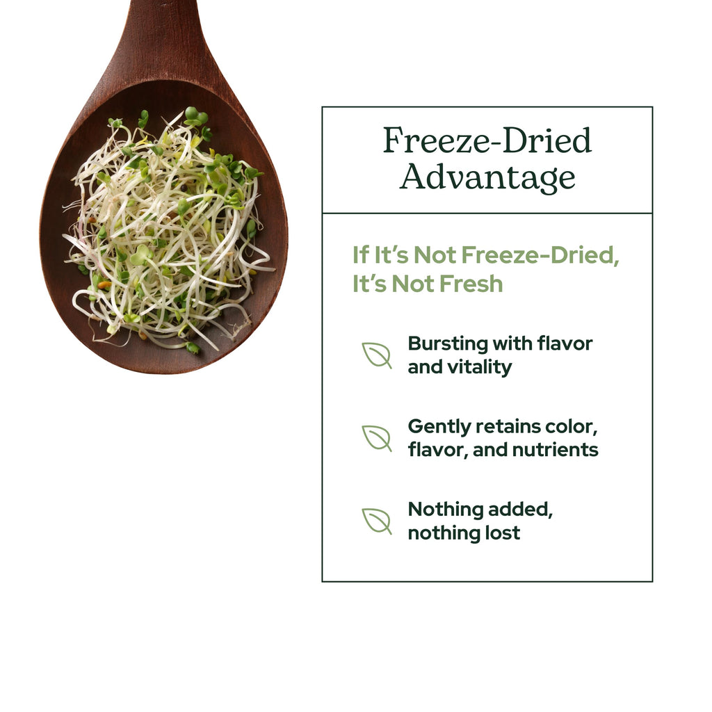 Eclectic Herb - Broccoli Sprouts Powder Nutritional Supplement | Vitamins + Minerals | Antioxidants & Immune | Superfood Powder + Daily Greens Drink Mix | USDA Organic, Non-GMO, Vegan (4.3 oz | 122 g)