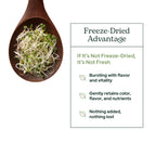 Eclectic Herb - Broccoli Sprouts Powder Nutritional Supplement | Vitamins + Minerals | Antioxidants & Immune | Superfood Powder + Daily Greens Drink Mix | USDA Organic, Non-GMO, Vegan (4.3 oz | 122 g)