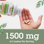 Quantum Health Super Lysine+ / Advanced Formula Lysine+ Immune Support with Vitamin C, Echinacea, Licorice, Propolis, Odorless Garlic (180 Tablets), Packaging may vary