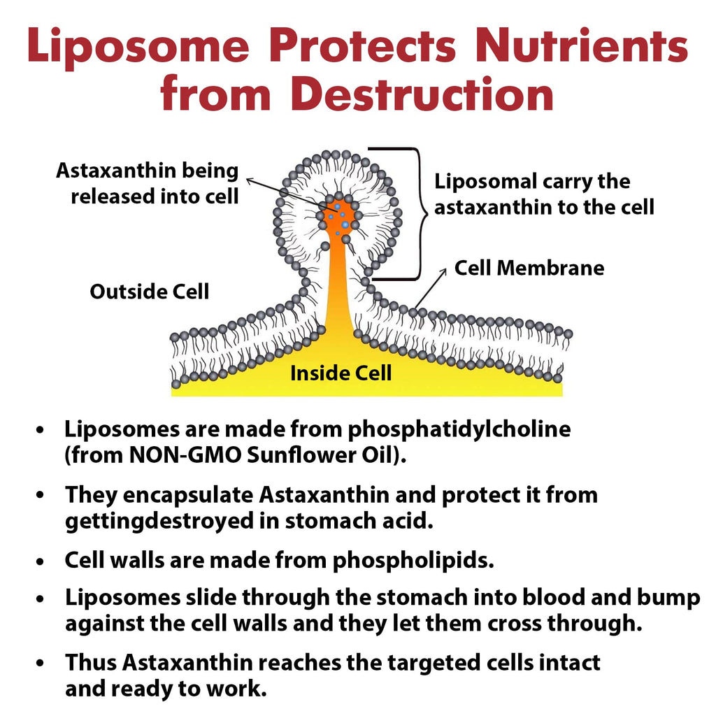 Liposomal Astaxanthin Supplement 24MG, Maximum Absorption, Antioxidant Stronger Than VIT C, Non-GMO & Gluten Free - 120 Softgels(4 Months Supply)