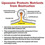 Liposomal Astaxanthin Supplement 24MG, Maximum Absorption, Antioxidant Stronger Than VIT C, Non-GMO & Gluten Free - 120 Softgels(4 Months Supply)