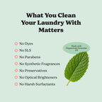 Pronounce Laundry Detergent Powder Alternative | Non-Toxic, Eco-Friendly, Natural for Sensitive Skin, Eczema, and Babies. Stain + Smell Fighting. HE Safe (Peppermint, 120 Loads)