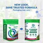 BioTrust Metabo Greens Superfood Powder - Super Greens Powder, Fruit & Veggie Blend with Clinically Studied Spectra - Non GMO, Soy Free, Gluten Free, Dairy Free, Energizing Berry Flavor (30 Servings)