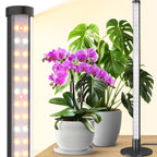 Barrina T10 Standing Grow Light for Indoor Plants, 20W 2FT, Full Spectrum