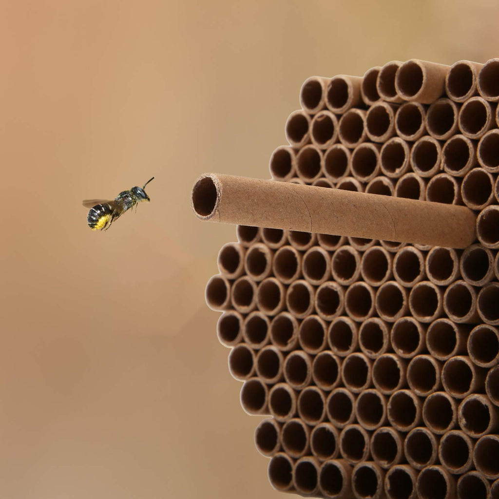 URATOT 200 Pieces Mason Bee Tubes, 6 Inches, Brown Kraft Paper, Bee Houses, Refill Tubes