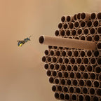 URATOT 200 Pieces Mason Bee Tubes, 6 Inches, Brown Kraft Paper, Bee Houses, Refill Tubes