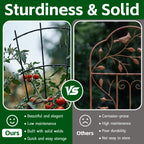 Thealyn 43" Tall Metal Plant Trellis Climbing Plant Support, 4 Pack Black