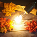 Jslinter 6-Pack Edison Light Bulb 60 Watt Dimmable A19 Vintage Warm Bulb