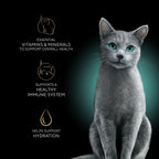 Sheba Perfect Portions Cuts Wet Cat Food, Seafood Multipack, 2.6 oz, 24 ct