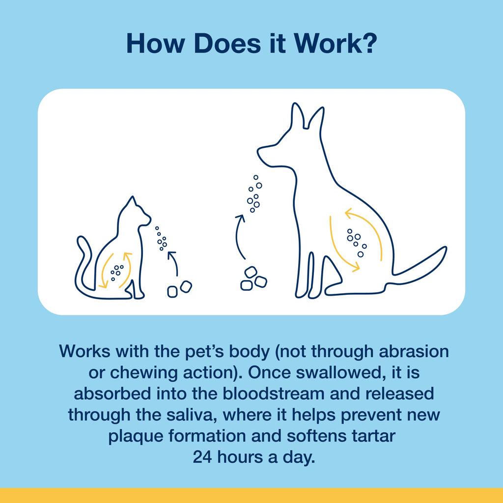 ProDen PlaqueOff Soft Chews with Natural Kelp - for Small & Medium Breed Dogs & Cats - Supports Normal, Healthy Teeth, Gums, and Breath Odor in Dogs & Cats - 90 Soft Chews
