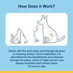 ProDen PlaqueOff Soft Chews with Natural Kelp - for Small & Medium Breed Dogs & Cats - Supports Normal, Healthy Teeth, Gums, and Breath Odor in Dogs & Cats - 90 Soft Chews