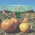 DSHE Melon Cradle 10 Packs Pumpkin Stand Plant Support for Cantaloupe Melon, Squash, Watermelon