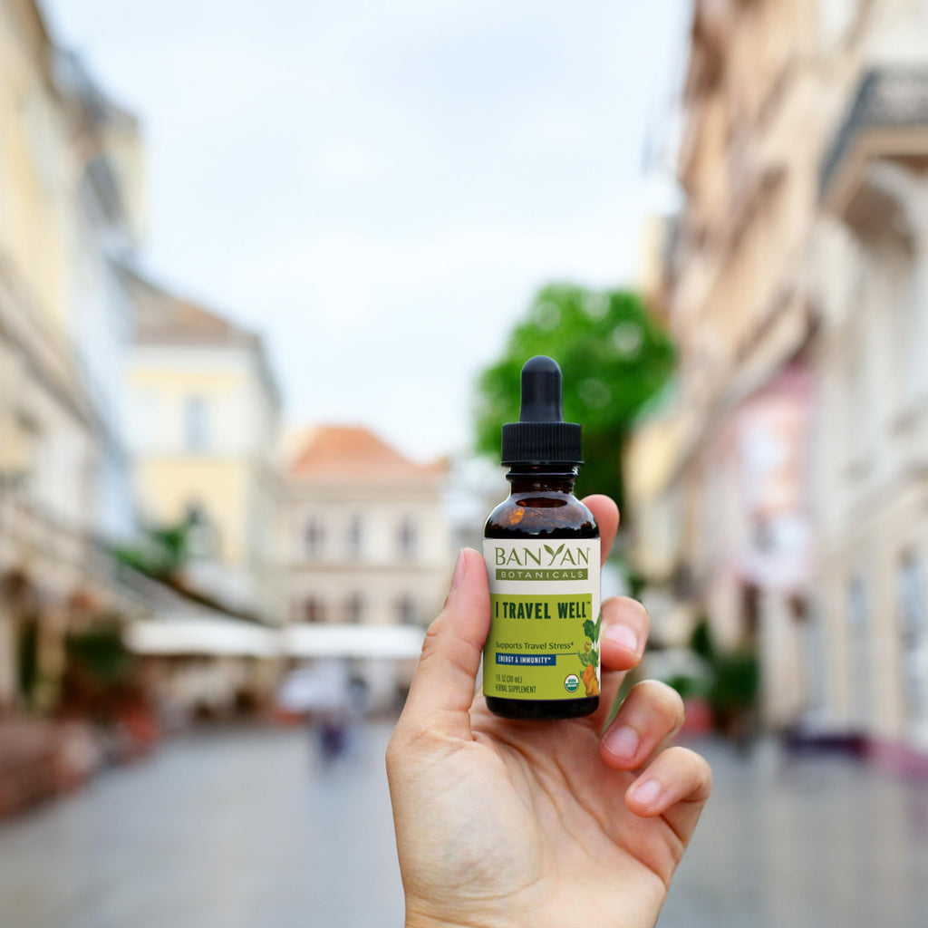 Banyan Botanicals I Travel Well Liquid Extract – Organic Fast-Acting Immune Support for Travel – with Ashwagandha and Ginger – 1 fl. oz. – Non GMO Sustainably Sourced Vegan