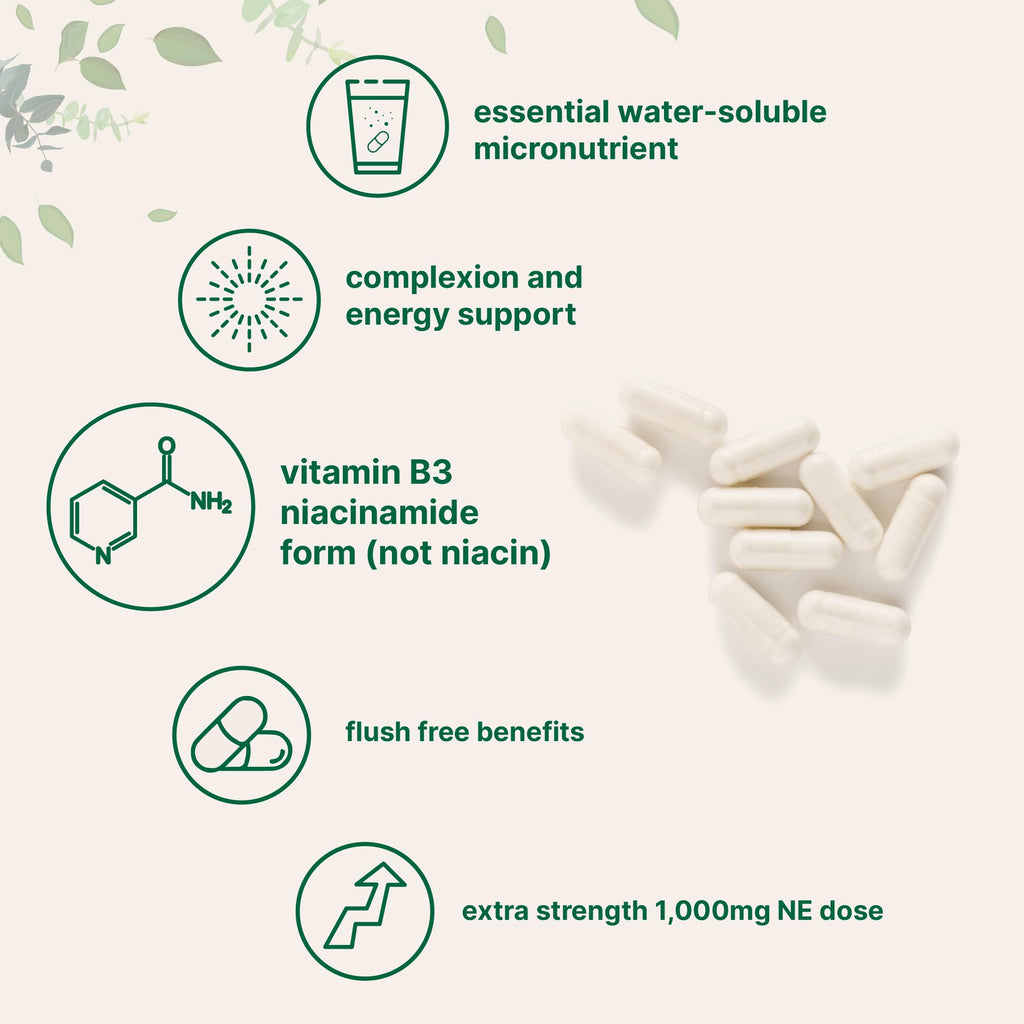 Vitamin B3 Niacinamide 500mg Per Capsule, 400 Capsules | 1,000mg Flush Free Niacin Per Serving, Essential B Vitamin Supplement | Non-GMO, Gluten Free