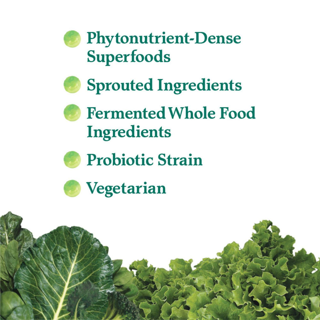 Garden of Life Perfect Food Super Green Formula - 14 Servings | 45 Superfoods, Greens, Fruit & Veggie Juice Superfood Powder Supplement, Probiotics & Organic Spirulina for Digestion & Immune Health