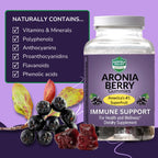 Akronia Valley Aronia Berry Gummies | 45 Vegetarian Gummies | Pack of 1 | Immune Support, for Health and Wellness, Delicious Aronia Flavor