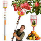 Buyplus 26ft High Reach Fruit Picker with Basket Telescoping, 5-20 Foot Heavy Duty Sturdy Aluminium Telescoping Extension Pole, Easy to Attach Twist-On Metal Basket for Picking Mango Avocado Lemon