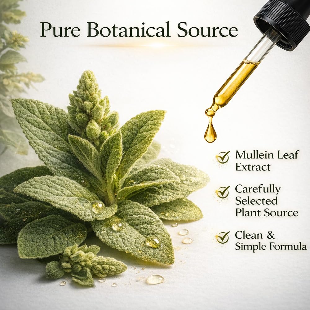 MACELY Origin Drops Mullein Leaf Extract Liquid, Super Concentrated Herbal Drops, Botanical Well