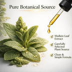MACELY Origin Drops Mullein Leaf Extract Liquid, Super Concentrated Herbal Drops, Botanical Well