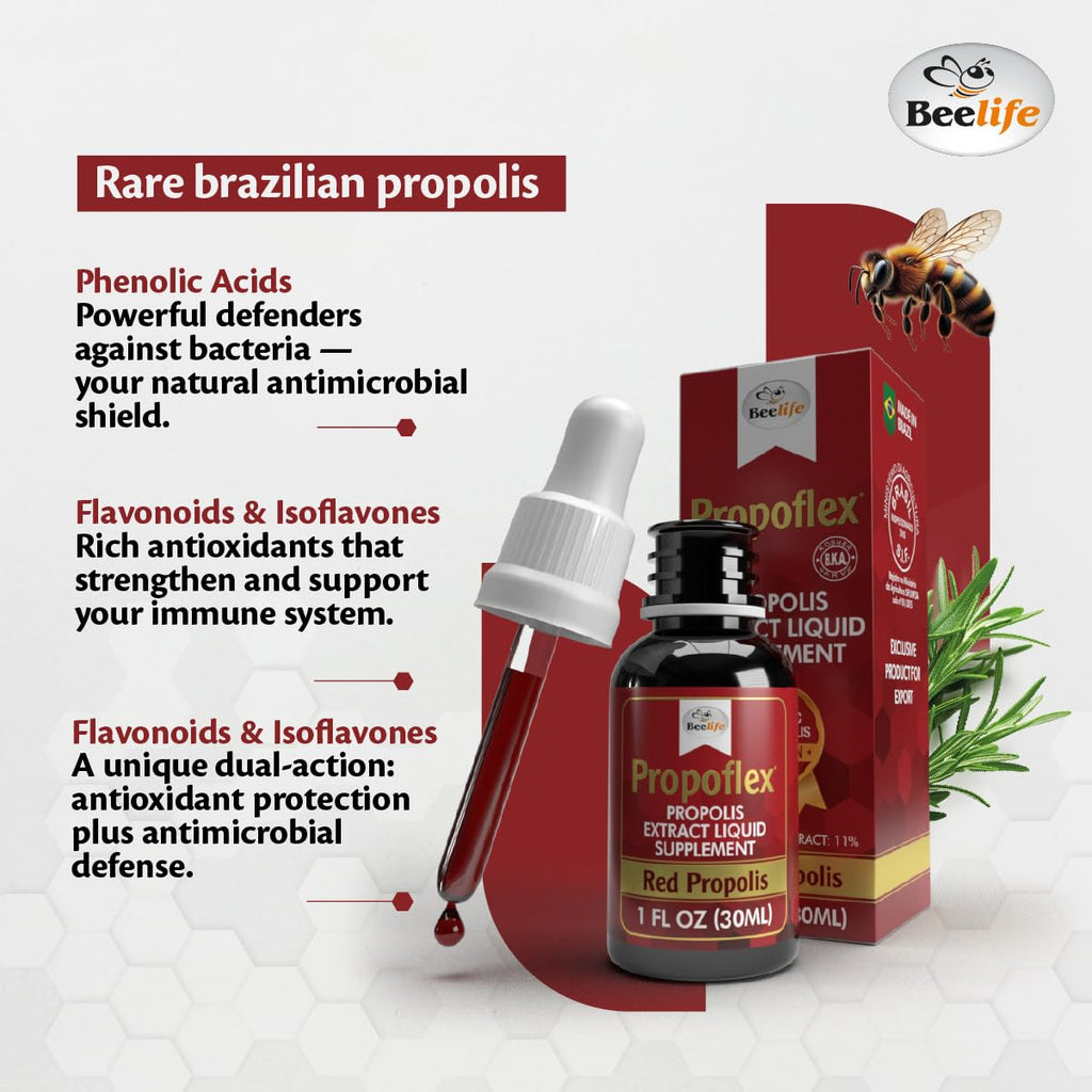 Beelife Red Bee Propolis Extract,100% Pure Extract Bee Propolis Tincture, High Artepillin-C Levels - Natural Immune Support- from Brazil, Certified ISO 22000, Kosher (30ml/ 1Fl.Oz)