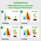 chiphy 85" Tall Grow Light for Large Indoor Plants, 60W Full Spectrum Plant Light with 4/8/12H Timer & Remote, 10-Level Dimmable, Height Adjustable, Ideal for Large Tall Plants & Indoor Trees