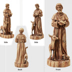 DSNAPE St Francis Garden Statue Bird Feeder 25" H Catholic Outdoor Statues