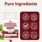 Spliferkou 7-in-1 Berberine Phytosome with Ceylon Cinnamon, Berberine Complex Supports Metabolic, Liver Function & Immune System, Non-GMO,Gluten-Free - 60 Capsules