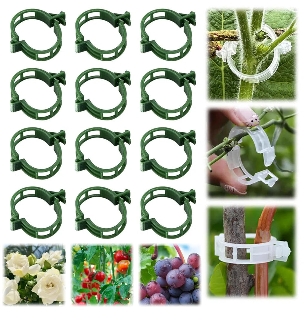 100Pcs 2025 Upgraded Plant Clip Secured Plastic Plant Clip for Climbing Plants, Plant Support Clips Tomato Clip for Climbing Plants Clips for Tomato Grape Vine Vegetables Plant Clips (100, Green)