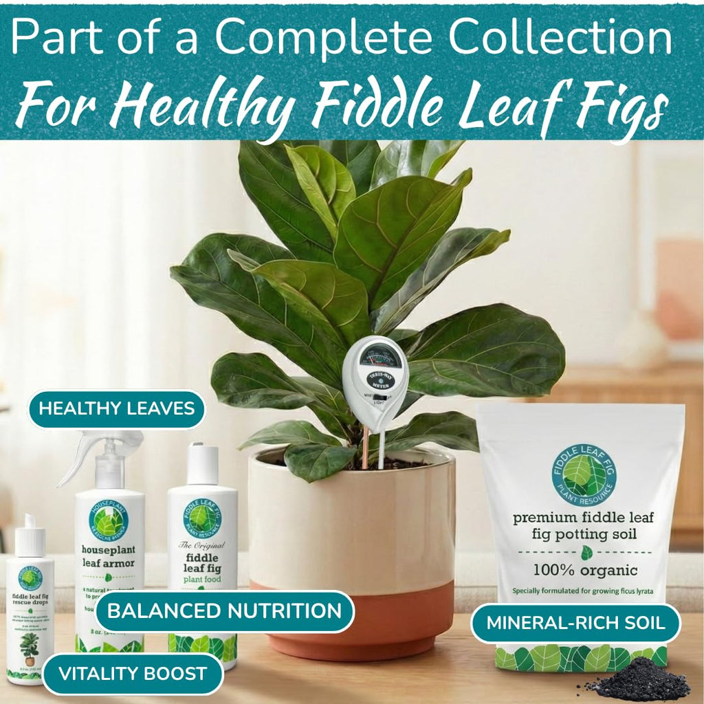 Fiddle Leaf Fig Health Meter, 3-in-1 Soil Moisture, Light & pH Testing Tool