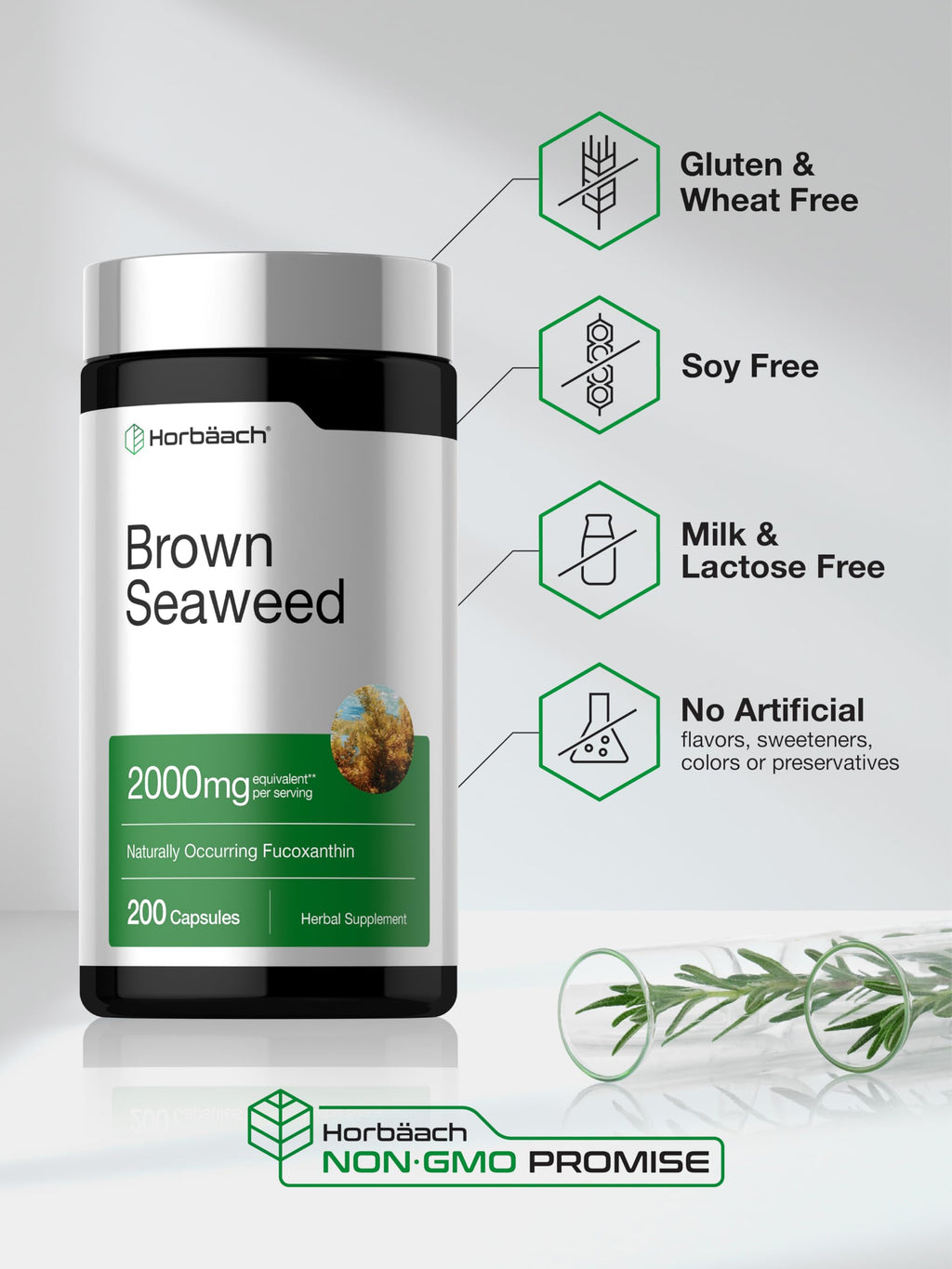 Horbäach Brown Seaweed Extract Capsules | 200 Pills | Fucoxanthin Supplement | Non-GMO, Gluten Free