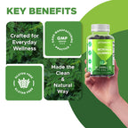 Vitamatic Sugar Free Moringa Gummies – 10,000 mg Equivalent per Serving (from 200 mg of 50:1 Extract) – Green Superfood Supplement – 60 Pectin-Based Vegan Gummies – No Sugar Added (Pack of 2)