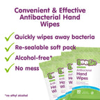 Antibacterial Hand Wipes by Boogie, Alcohol Free, Hypoallergenic and Moisturizing Aloe, Hand Wipes for Kids and Adults, 6 Packs of 20 (120 total wipes)