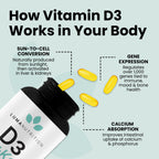 Luma Nutrition D3 + K2 Vitamin 10000 IU - Bone and Heart Health Supplement - Max Strength Immune Support and Calcium Absorption - 60 Softgels
